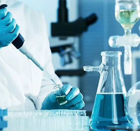 如何證明反轉(zhuǎn)錄第一鏈cDNA成功了？