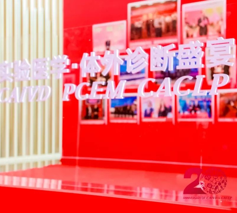 初夏盛會(huì)，精彩回顧