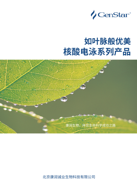 核酸電泳系列產(chǎn)品