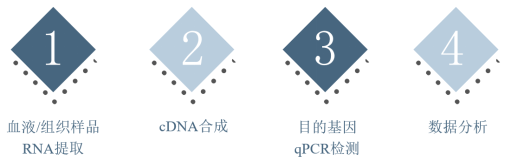 0609-04.png 0609-04.png