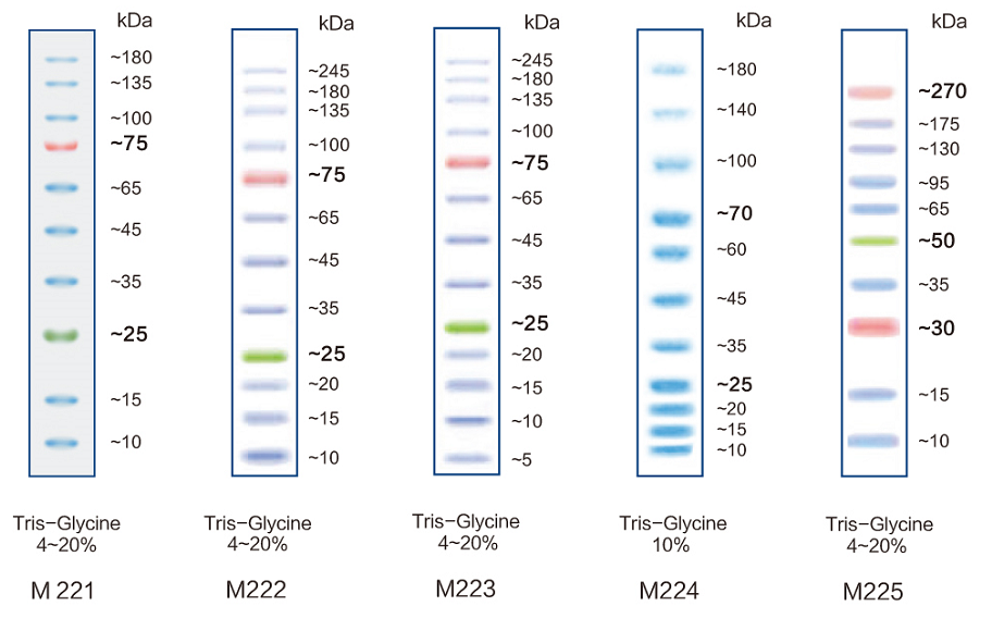 22121204.png 22121204.png